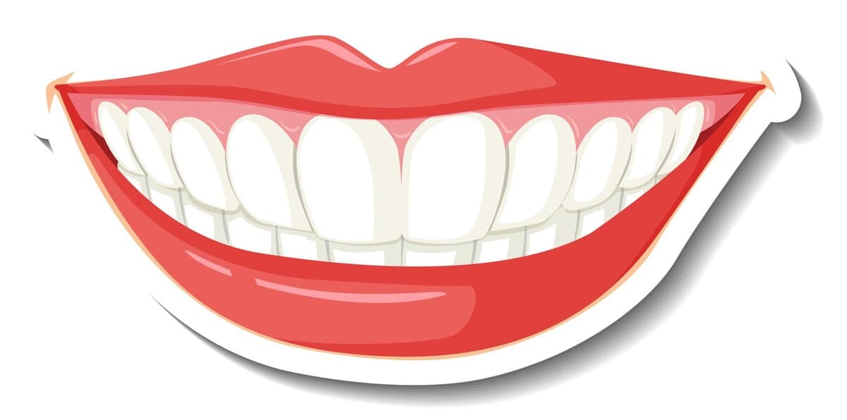 Smile Makeover & Veneer Treatments